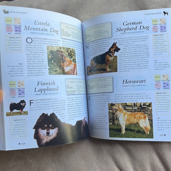 The Encyclopedia of DOG Breeds Book by Juliette Cunliffe championship dog judge - Picture 8 of 16
